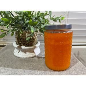 Gold Canyon Candles Large 26oz Tropical Bellini Highly Scented Hard to Find